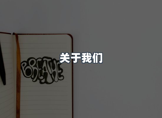 关于我们